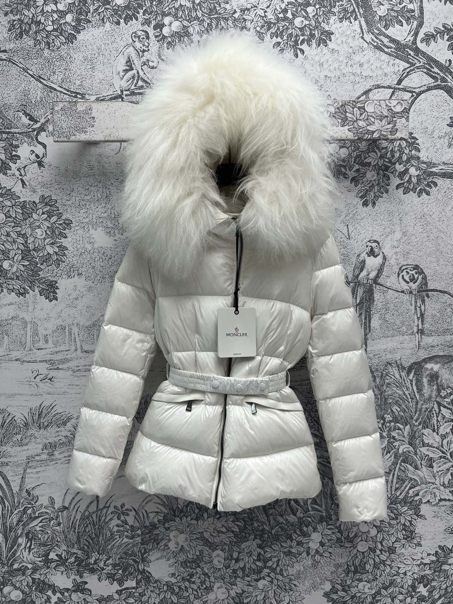 Moncler Down Jackets